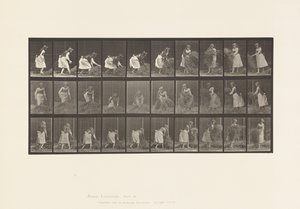 Lifting Handfuls of Hay, Turning, Throwing it Down by Eadweard Muybridge