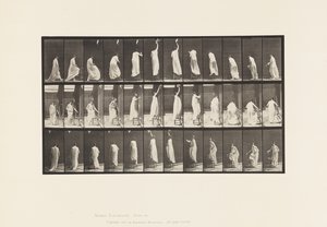 Stepping on Chair, Reaching Up and Descending by Eadweard Muybridge