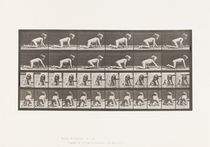 Child, Crawling on Hands and Knees by Eadweard Muybridge