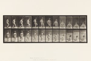 Plate 476. Child, Sitting Down on the Ground by Eadweard Muybridge