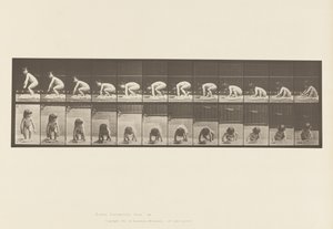 Child, Getting Up from the Ground by Eadweard Muybridge