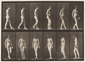 Plate 47. Walking, and Turning Around by Eadweard Muybridge