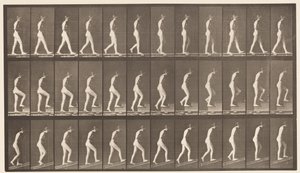 Plate 482. A, Walking; B, Ascending Stairs; C, Ascending Incline by Eadweard Muybridge