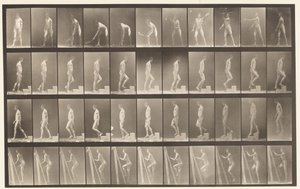 A, Lawn Tennis; B, Ascending a Step by Eadweard Muybridge