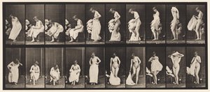 Miscellaneous Phases of the Toilet