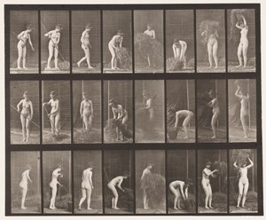 Plate 499. Raking and Packing Hay by Eadweard Muybridge