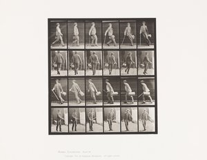 Walking and Turning Around Rapidly by Eadweard Muybridge