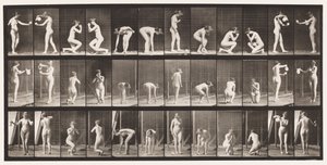 Plate 501. Miscellaneous, Stooping, Kneeling, etc. by Eadweard Muybridge