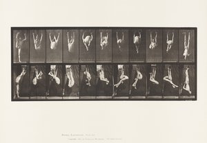 Plate 512. Contortions on Rings by Eadweard Muybridge