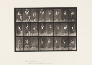 Plate 517. Miscellaneous Movements with a Water Jar