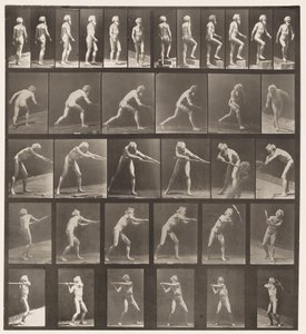 Walking; Ascending Step; Throwing Disk