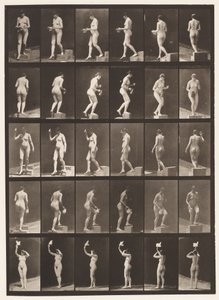 Descending Step; Ascending Step by Eadweard Muybridge
