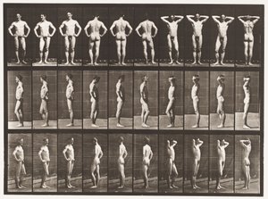 Plate 530. Various Poses by Eadweard Muybridge