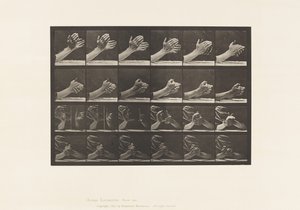 Movement of the Hand; Clasping Hands by Eadweard Muybridge