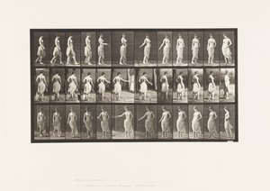Plate 53. Walking, Scattering Flowers and Turning Action by Eadweard Muybridge