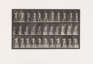 Multiple Cerebro-Spinal Sclerosis (Choreic); Walking (Plate 541) by Eadweard Muybridge