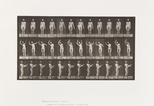 Local Chorea; While Standing by Eadweard Muybridge