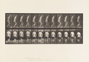 Paraplegia; Partial; Walking by Eadweard Muybridge