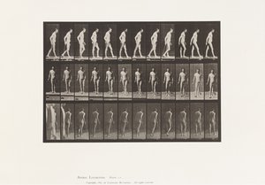 Plate 559. Disseminated Sclerosis; Walking with Cane by Eadweard Muybridge