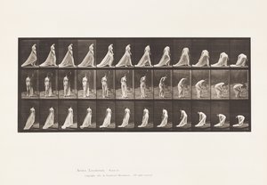 Plate 56. Walking, Turning and Stooping to Lift Train by Eadweard Muybridge