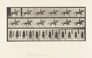Rocking (Pacing): Saddle; Brown Horse Pronto (Plate 592)