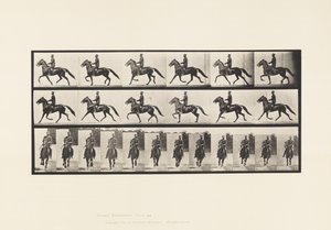 Rocking (Pacing): Saddle; Brown Horse Pronto (Plate 593) by Eadweard Muybridge