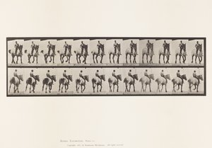Plate 600. Trotting; Bareback; Dark-Gray Dusel by Eadweard Muybridge