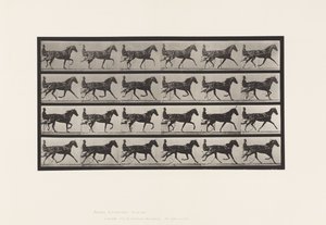 Trotting; Sulky; Sorrel Mare, Flode Holden (Plate 608) by Eadweard Muybridge