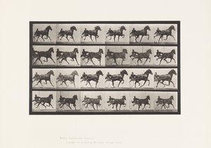Plate 613. Trotting; Sulky; Sorrel Mare Nellie Rose by Eadweard Muybridge