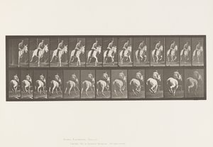 Gallop; Saddle; Gray Mare, Pandora (Plate 635) by Eadweard Muybridge