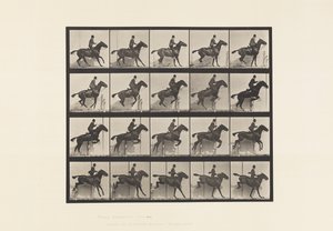 Jumping a Hurdle; Saddle; Bay Horse Daisy (Plate 638)