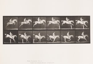 Plate 643. Jumping a Hurdle; Bareback; Clearing and Landing by Eadweard Muybridge