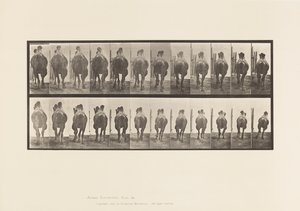 Plate 742. Bactrian Camel; Racking; Galloping by Eadweard Muybridge