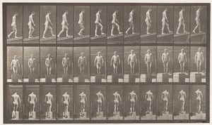 Plate 74. Ascending Incline, Angle 1 in 4 by Eadweard Muybridge