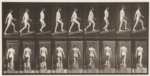 Ascending Incline, Angle 1 in 4 by Eadweard Muybridge