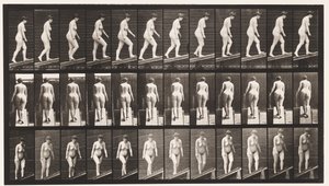 Ascending Incline by Eadweard Muybridge