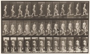 Plate 82. Ascending Incline, Bucket of Water in Each Hand by Eadweard Muybridge