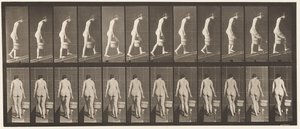 Plate 84. Ascending Incline, Bucket of Water in Right Hand by Eadweard Muybridge