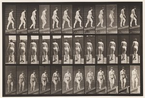 Ascending Incline by Eadweard Muybridge