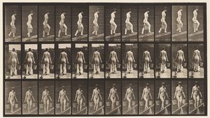 Ascending Incline, Bucket of Water in Each Hand by Eadweard Muybridge