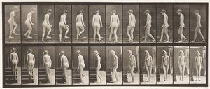 Turning and Ascending Stairs by Eadweard Muybridge