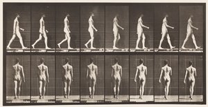 Walking by Eadweard Muybridge
