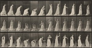 Plate Number 306. Picking Up a Ball and Throwing It by Eadweard Muybridge