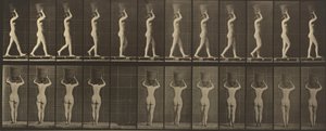 Plate Number 34. Walking and Carrying a 15-lb. Basket on Head, Hands Raised, 1887 by Eadweard Muybridge