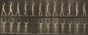 Walking and Carrying a 15-lb. Basket on Head, Hands Raised by Eadweard Muybridge