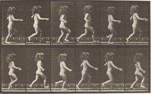 Plate Number 469. Child Running by Eadweard Muybridge