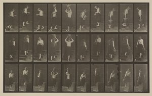 Plate Number 504. Ascending and Descending Stairs by Eadweard Muybridge