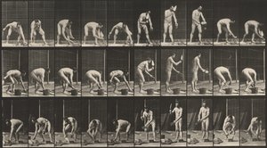 Bricklaying, 1887 by Eadweard Muybridge