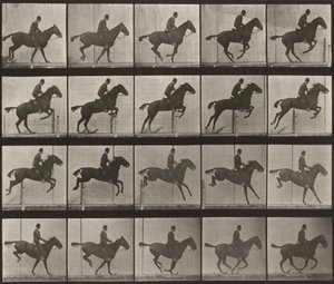 Plate Number 639. "Daisy" Jumping a Hurdle, Saddled by Eadweard Muybridge