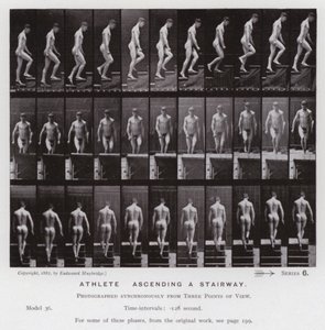 The Human Figure in Motion: Athlete, ascending a stairway by Eadweard Muybridge